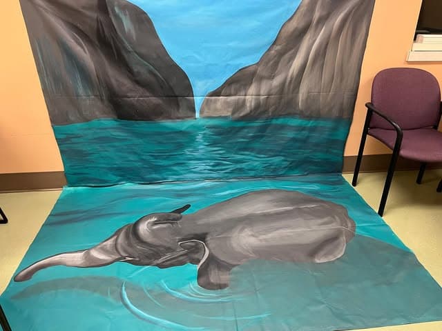 Sanctuary, interior ocean mural backdrop