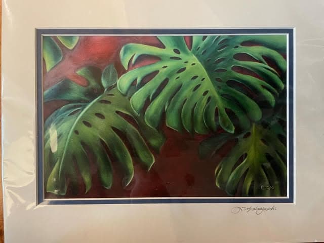 Monstera Study